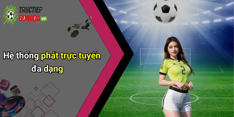 Hệ thống phát trực tuyến đa dạng