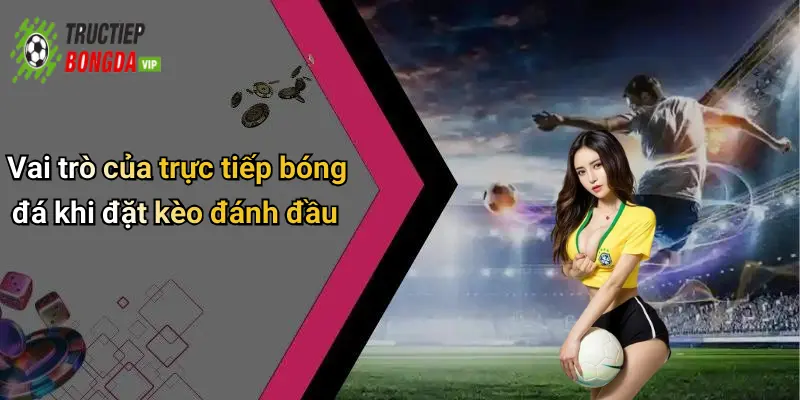 Vai trò của trực tiếp bóng đá khi đặt kèo đánh đầu