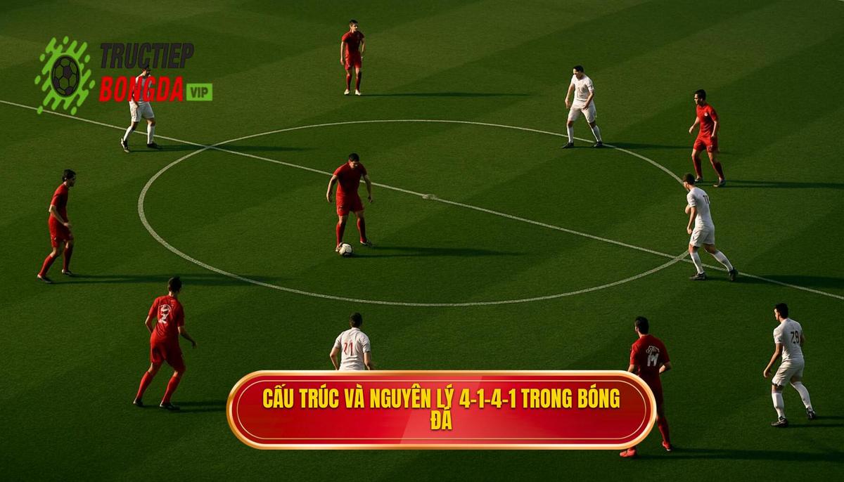Sơ lược về cấu trúc và nguyên lý cốt lõi của 4-1-4-1
