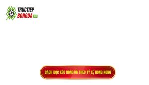 Cách đọc kèo bóng đá theo tỷ lệ Hong Kong