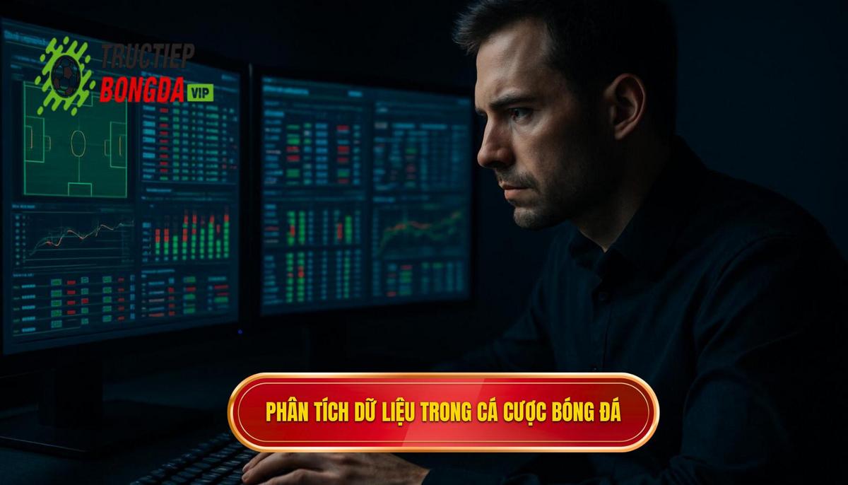 Phân tích dữ liệu và soi kèo chuyên sâu trong cá cược bóng đá chuyên nghiệp