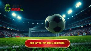 Đẳng cấp TRỰC TIẾP BÓNG ĐÁ chính thống.