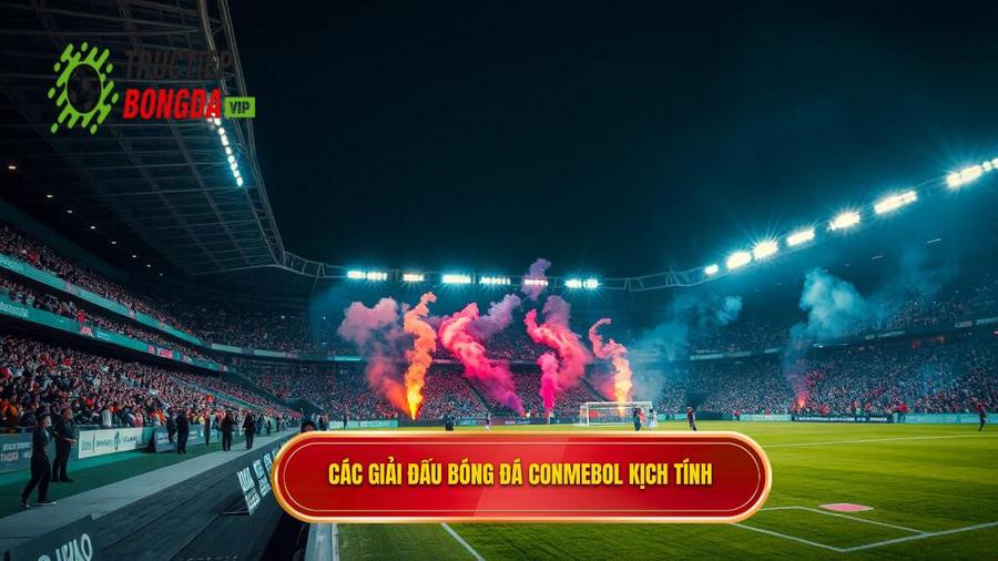 2. Các giải đấu trọng điểm khi soi kèo bóng đá các trận đấu CONMEBOL