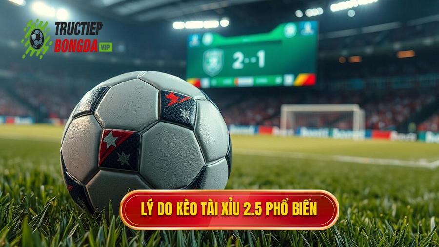 2. Tại sao kèo tài xỉu 2.5 toàn trận lại phổ biến?