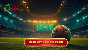 Kèo tài xỉu 2.5 toàn trận: Giải mã và kinh nghiệm chinh phục từ chuyên gia